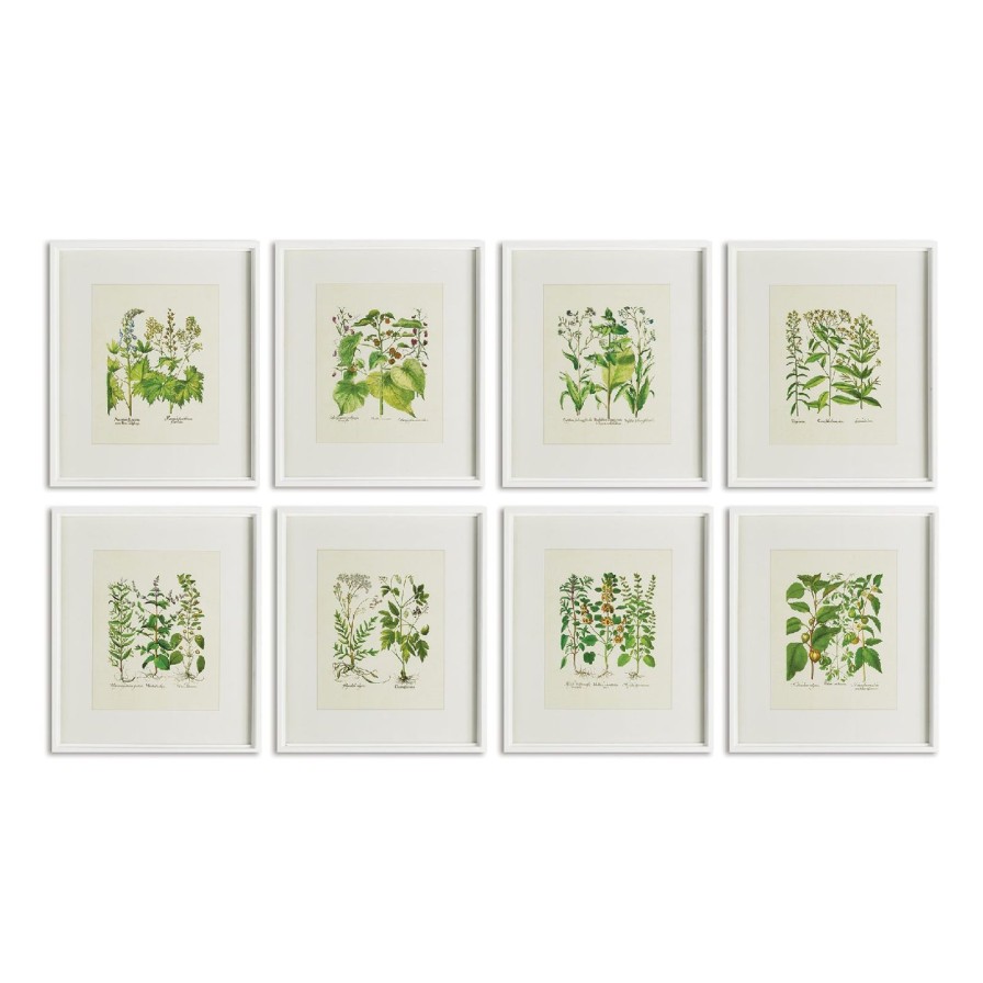 Home SYNPLE Wall Art | Wildflower Prints