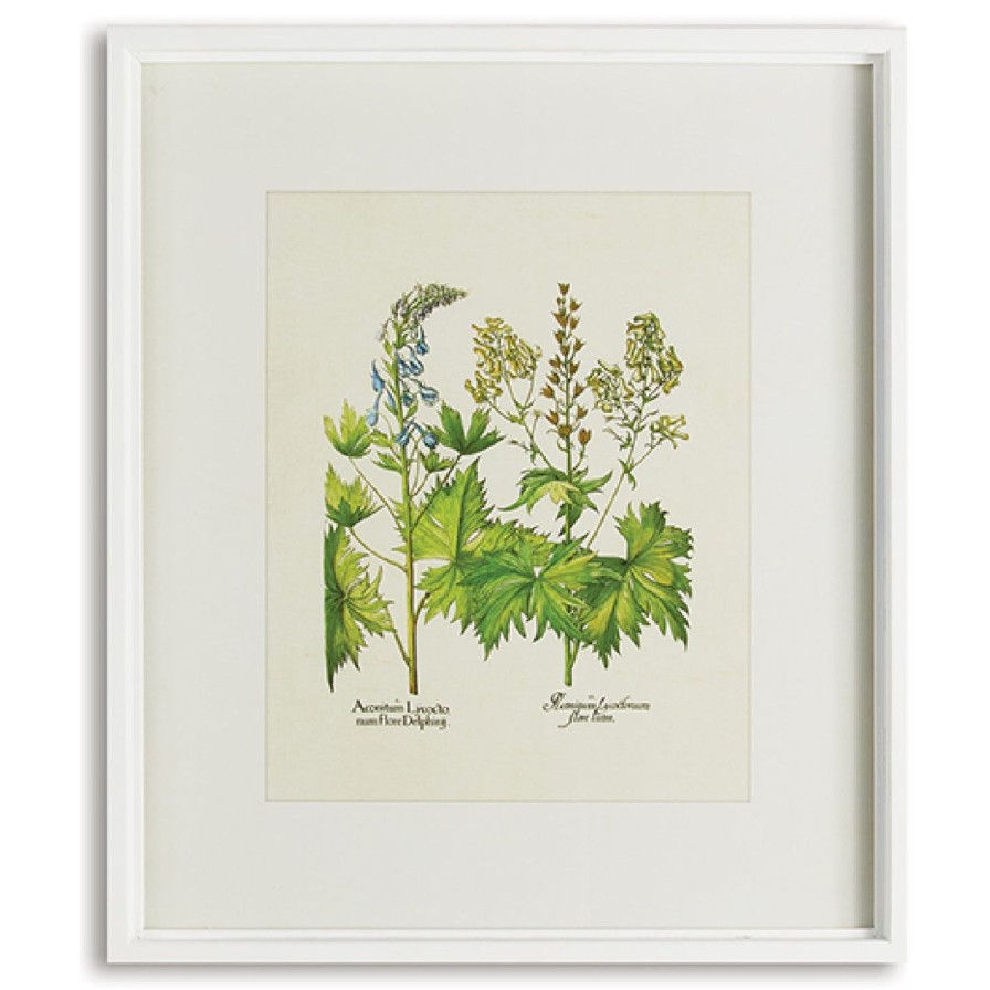 Home SYNPLE Wall Art | Wildflower Prints