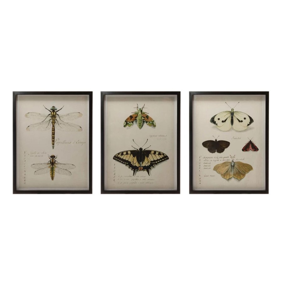 Home SYNPLE Wall Art | Wood Framed Wall Decor With Insects-3 Styles